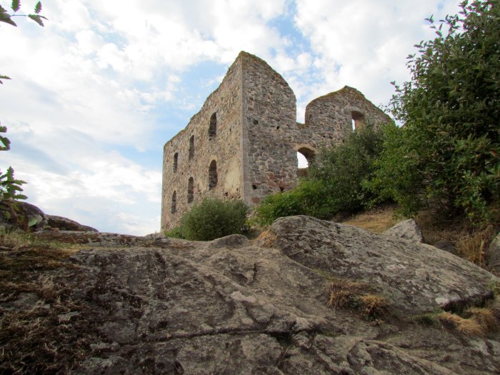 Brahehus