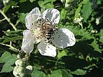Bild 511