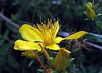 Bild 541