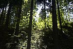 Bild 556