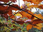 Bild 563