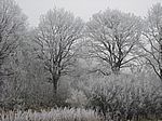 Bild 569