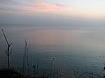 Bild 109