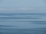 Bild 119