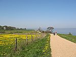 Bild 140