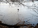 Bild 700