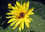 Bild 721