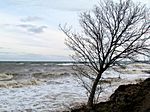 Die Ostsee bei Brodten